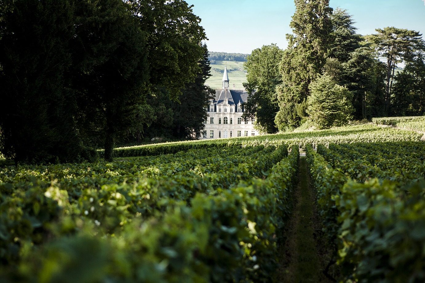 what to do in champagne in 2022 unique visit